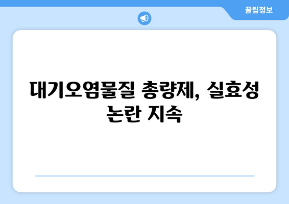 대기오염물질 총량 초과 사업장 